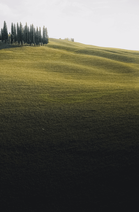 Nagu iga liikuv mehhanism, vajab robotniiduk korraliselt hooldamist, mis pikendab niiduroboti eluiga. Pakume teenusena meie tootevaliku niidurobotitele hooldust